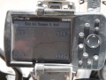 zf